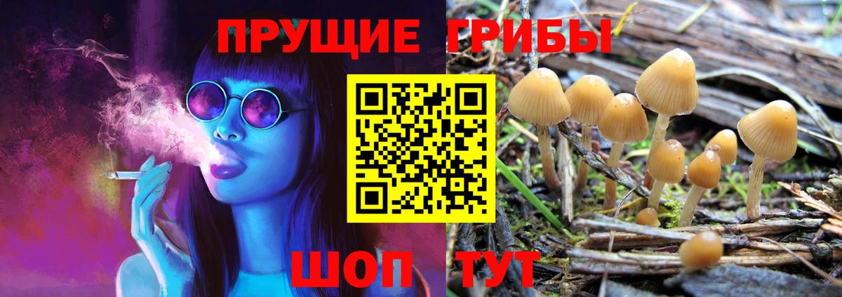 Псилоцибиновые грибы прущие грибы Воркута